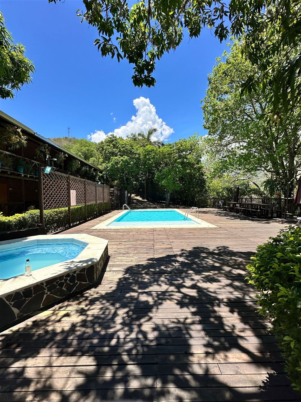 Jacuzzi y piscina de huéspedes sobre una terraza de madera, rodeados de árboles